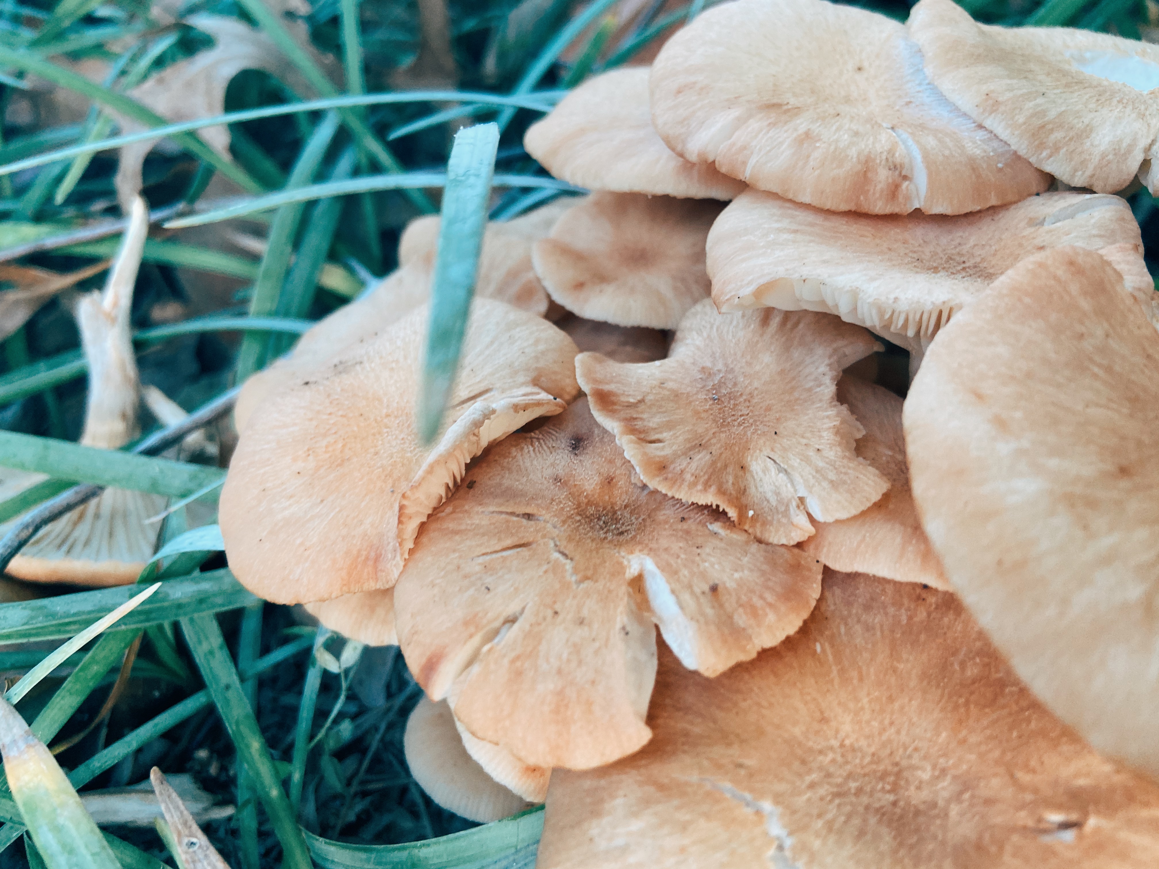 Processed with VSCO with e3 preset